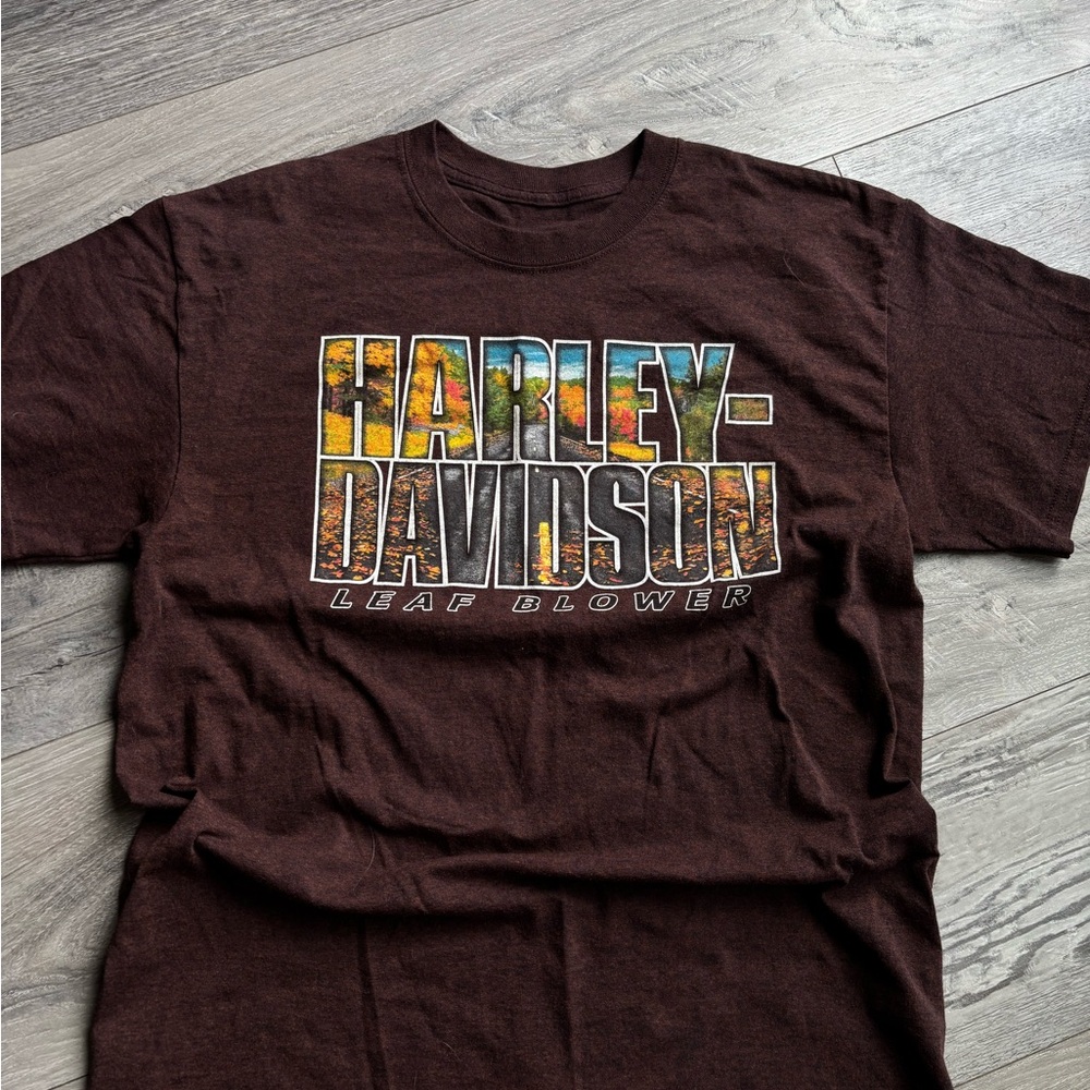 Harley-Davidson Brown Graphic Tee with Multicolor Fall Lettering
